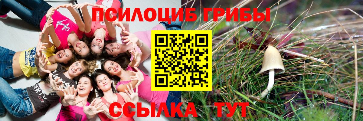 наркотики  Вход с VPN  Заринск  Псилоцибиновые грибы Magic Shrooms  Псилоцибиновые грибы прущие грибы 
