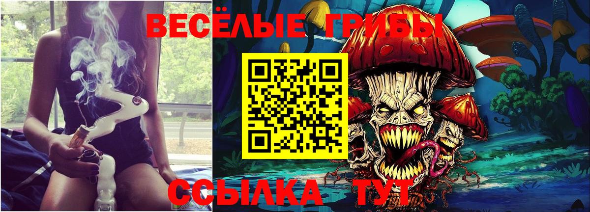 Галлюциногенные грибы Cubensis Заринск